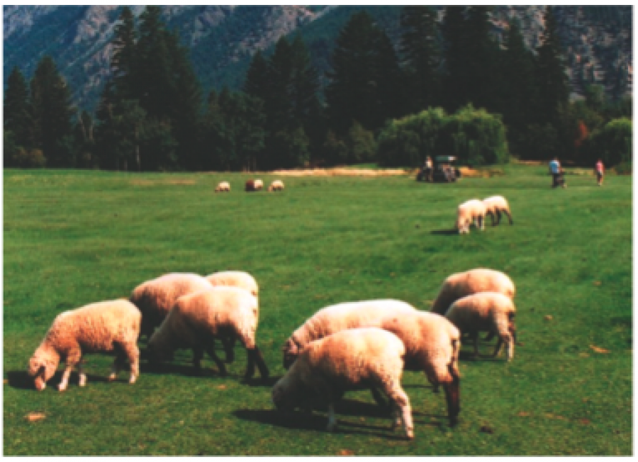 Lillooet Golf Course