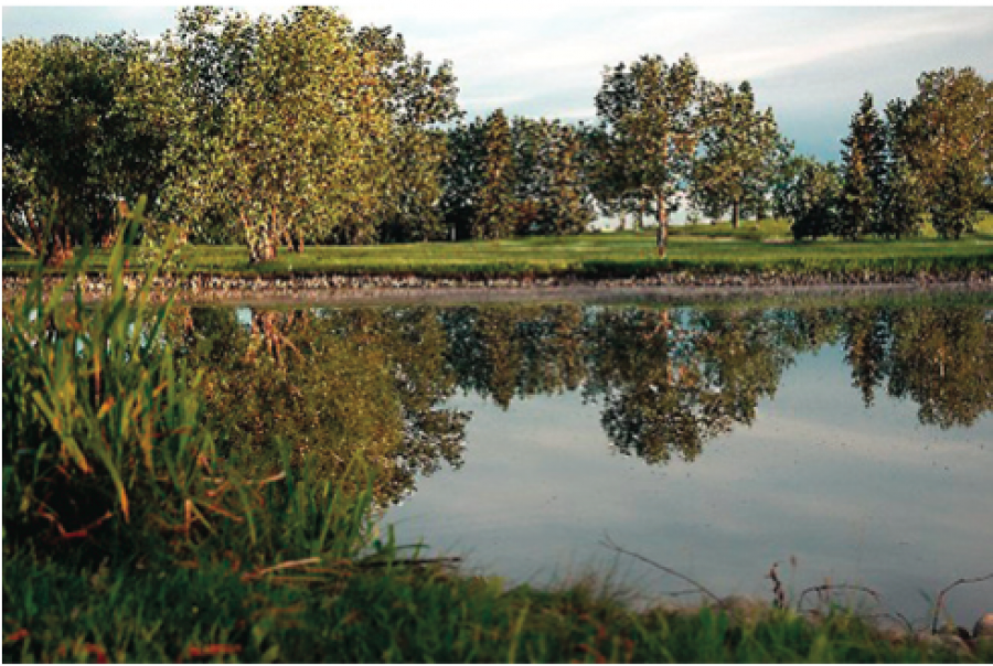 Picture Butte Golf Course