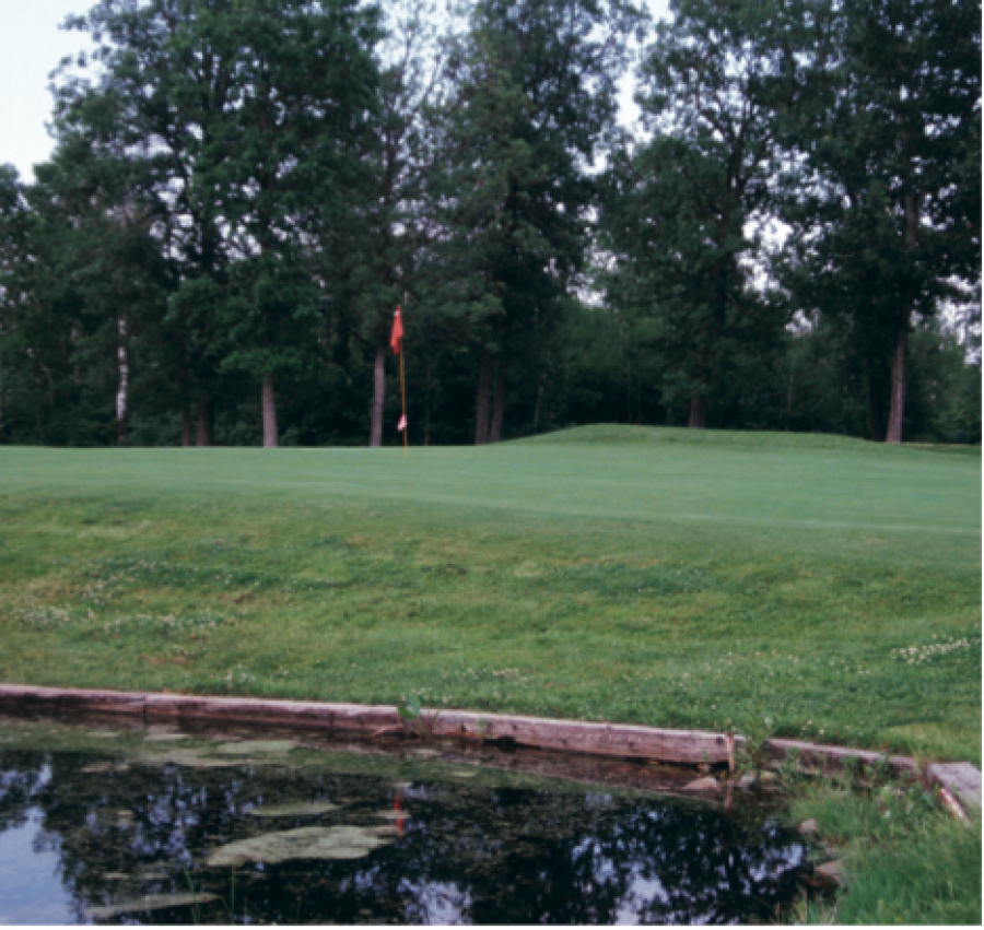 Dauphin Lake Golf Resort